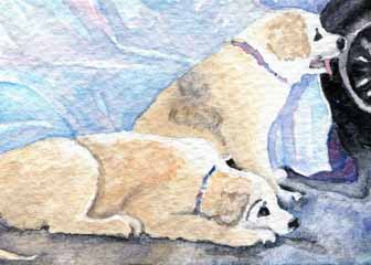 "Frick & Frack" by Sherry Ackerman, Cottage Grove WI - Watercolor & ink, SOLD